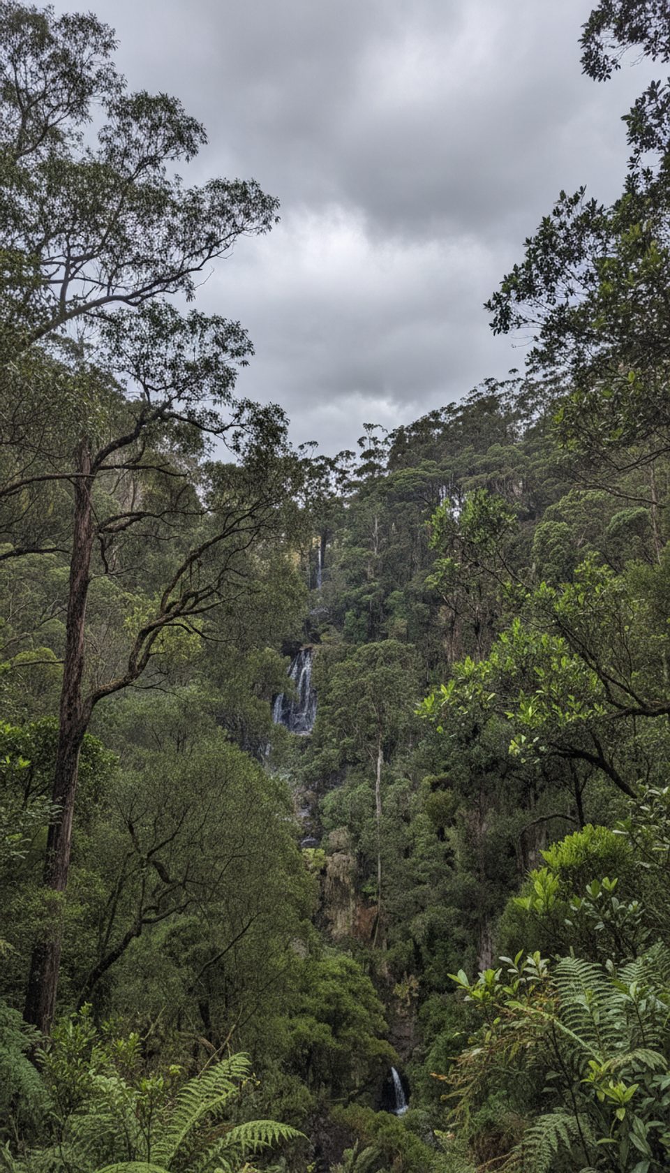 Sabine Falls, Great Otway National Park