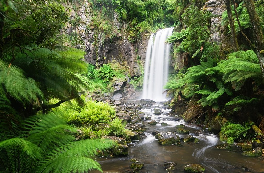 Hopetoun Falls, Great Otway National Park