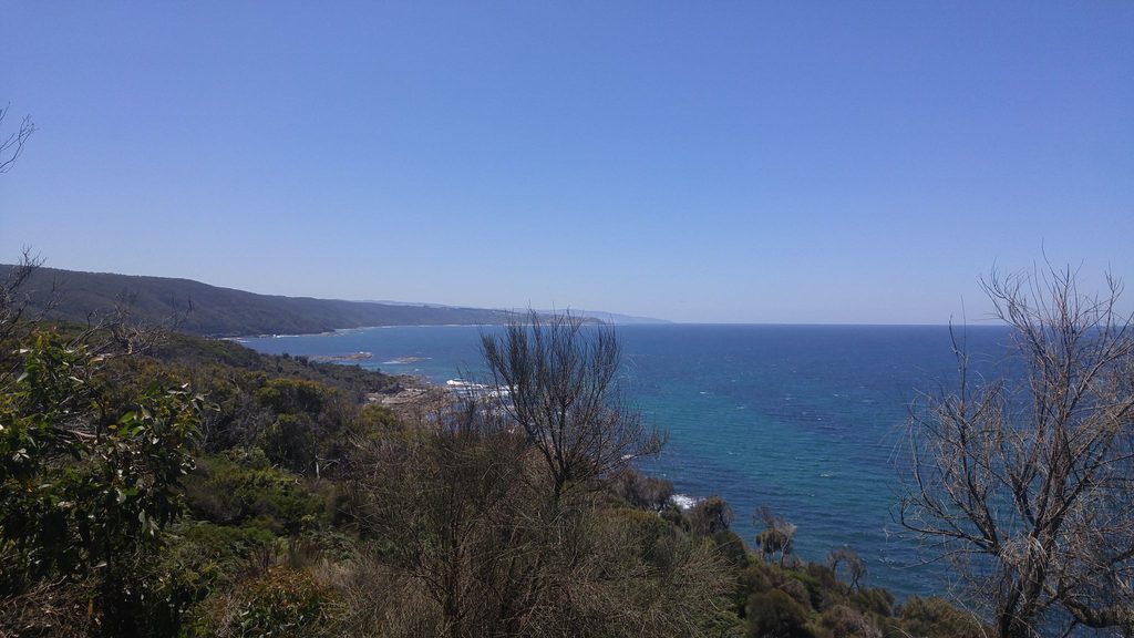 Blanket Bay Lookout, Great Otway National Park
