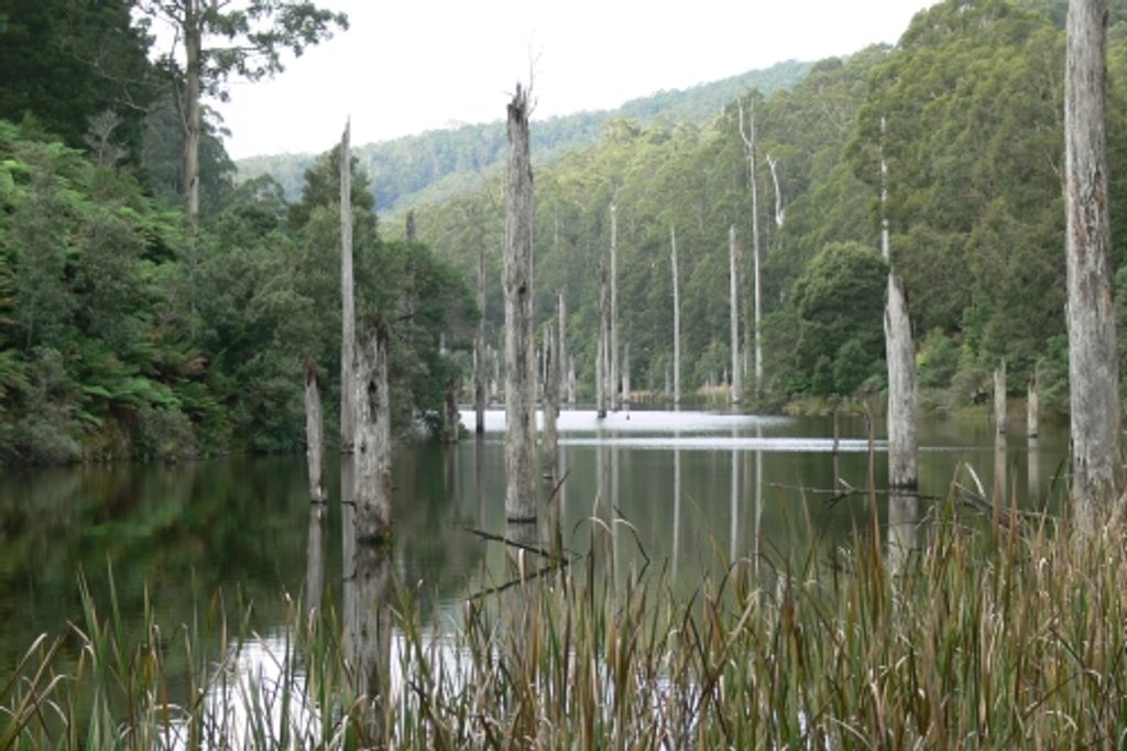 Lake Elizabeth, Great Otway National Park