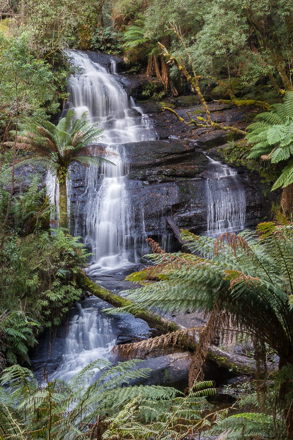 Triplet Falls, Great Otway National Park