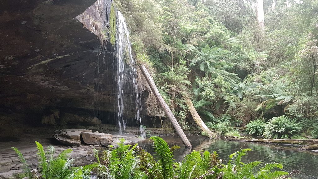 Lower Kalimna Falls, Great Otway National Park