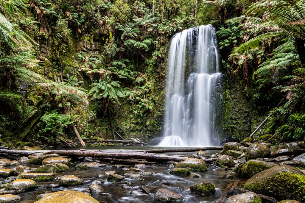 Beauchamp Falls, Great Otway National Park