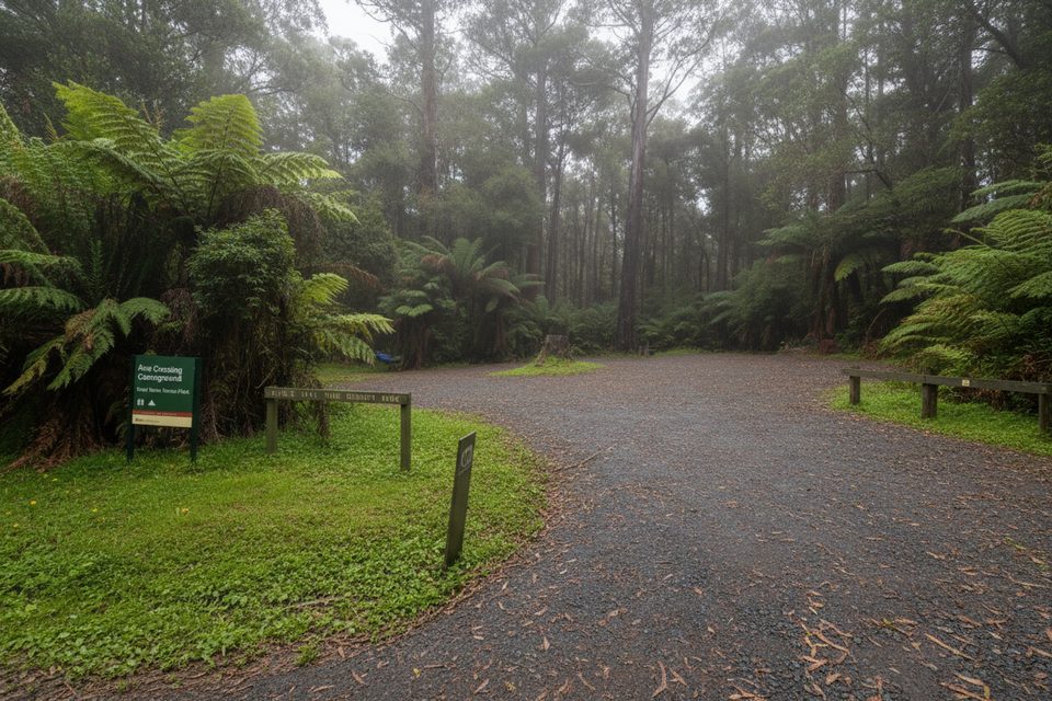 Aire Crossing Campground, Great Otway National Park