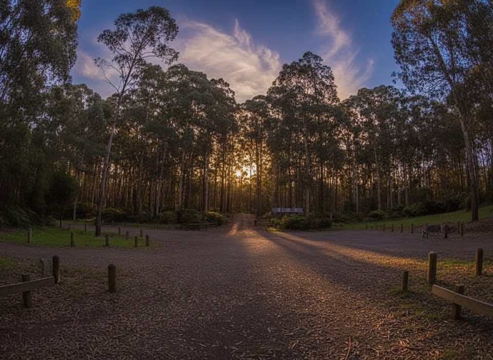 Big Hill Campground, Great Otway National Park