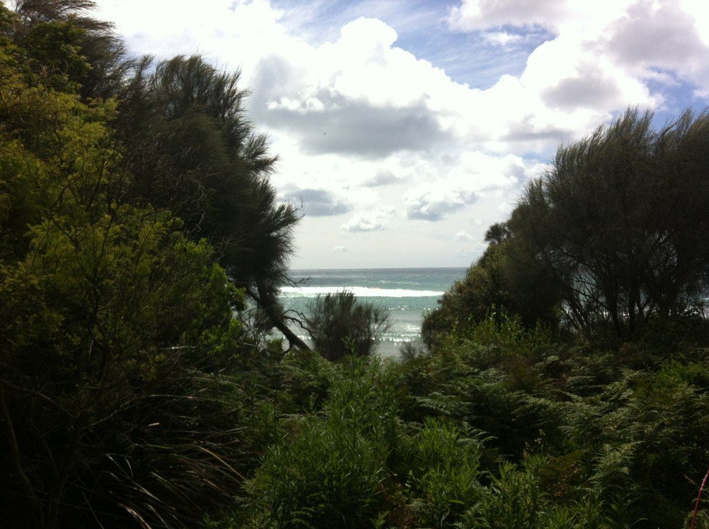 Blanket Bay Campground, Great Otway National Park
