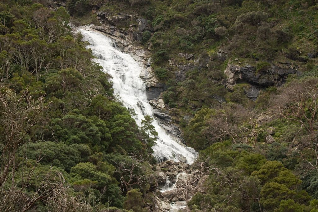 Carisbrook Falls, Great Otway National Park