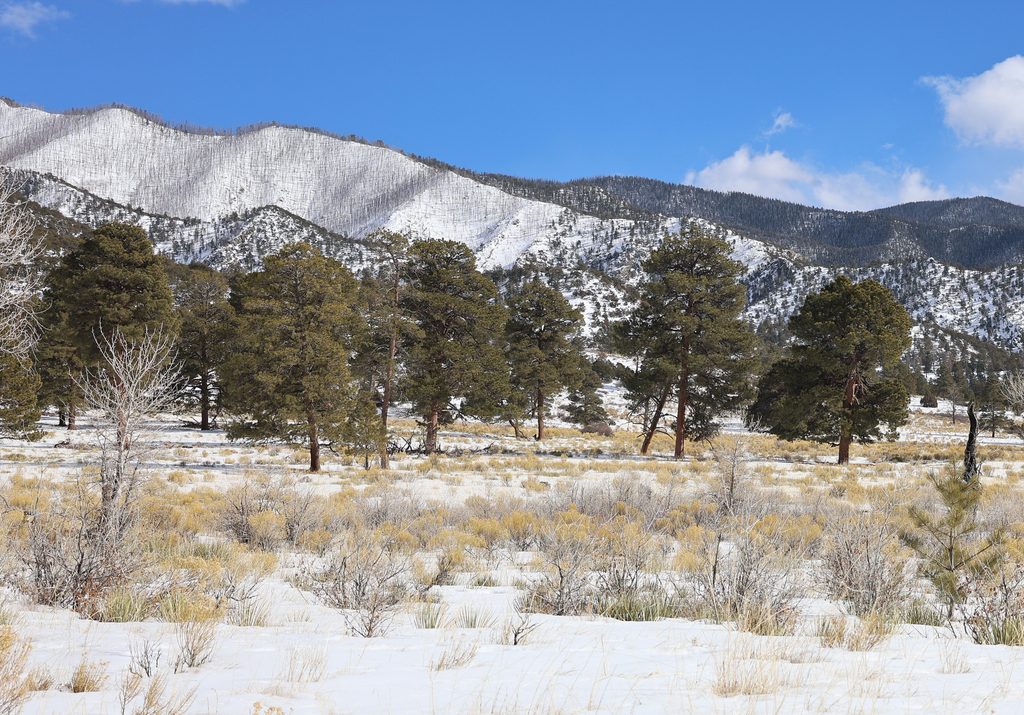 Indian Grove Site, Great Sand Dunes National Park