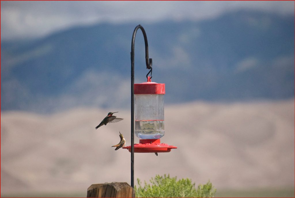 Great Sand Dunes Lodge, Great Sand Dunes National Park