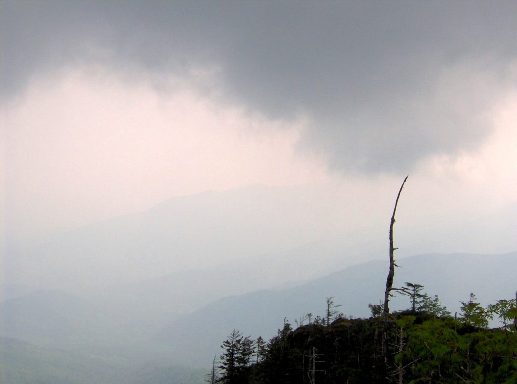 Myrtle Point (Mount Le Conte), Great Smoky Mountains National Park