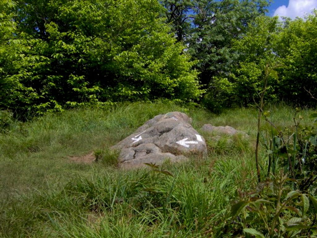 Silers Bald, Great Smoky Mountains National Park