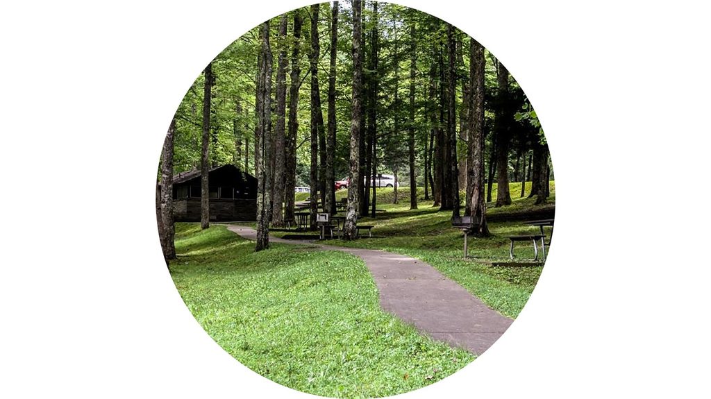Cosby Picnic Area, Great Smoky Mountains National Park