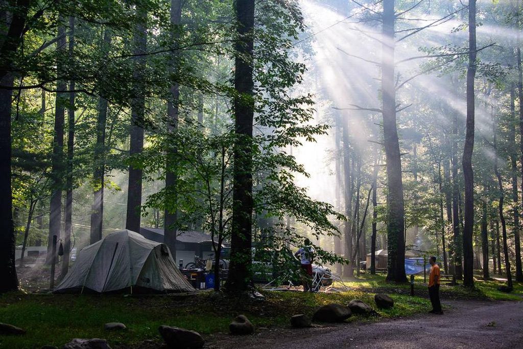 Elkmont Group Campground, Great Smoky Mountains National Park