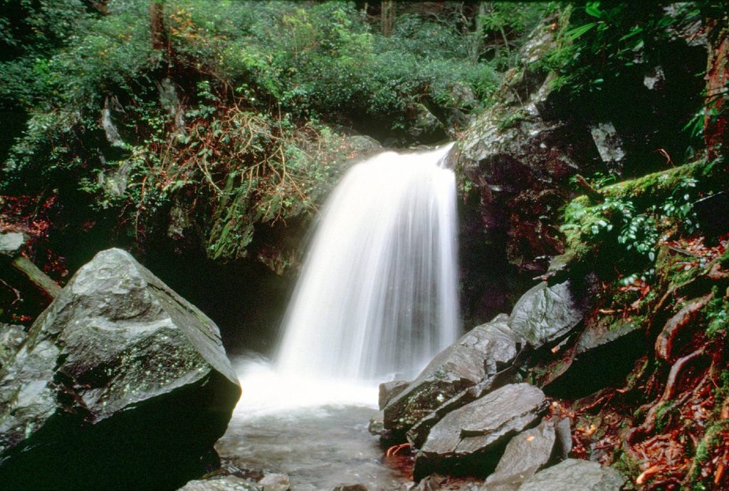 Grotto Falls, Great Smoky Mountains National Park