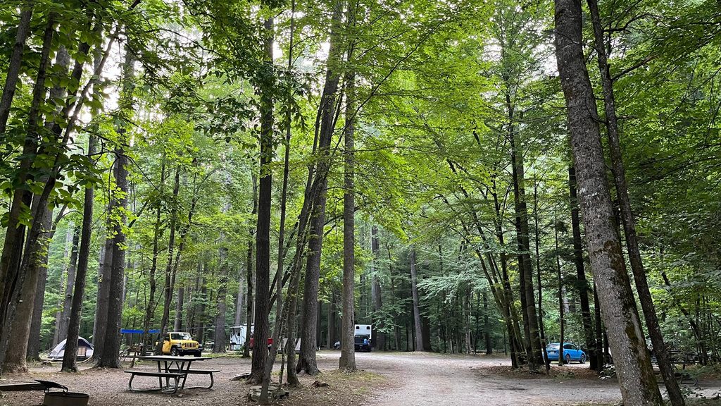 Cataloochee Group Campground, Great Smoky Mountains National Park