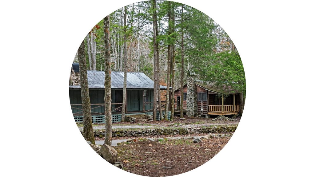 Daisy Town, Great Smoky Mountains National Park