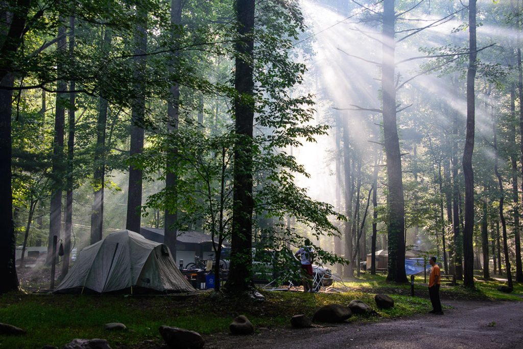 Elkmont Campground, Great Smoky Mountains National Park