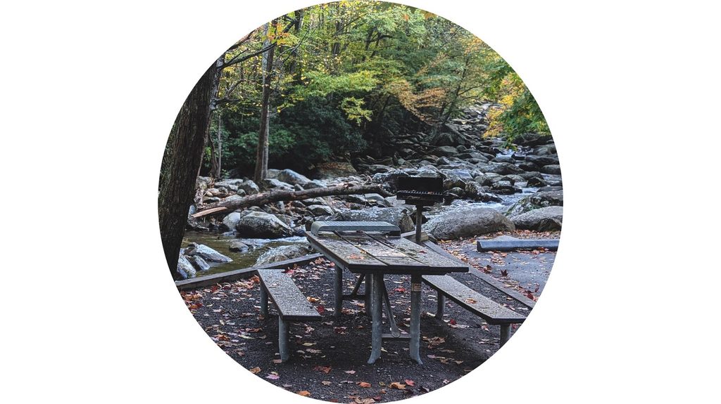 Chimneys Picnic Area, Great Smoky Mountains National Park