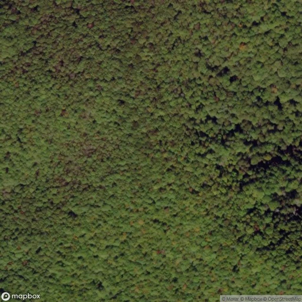 Rye Patch, Great Smoky Mountains National Park