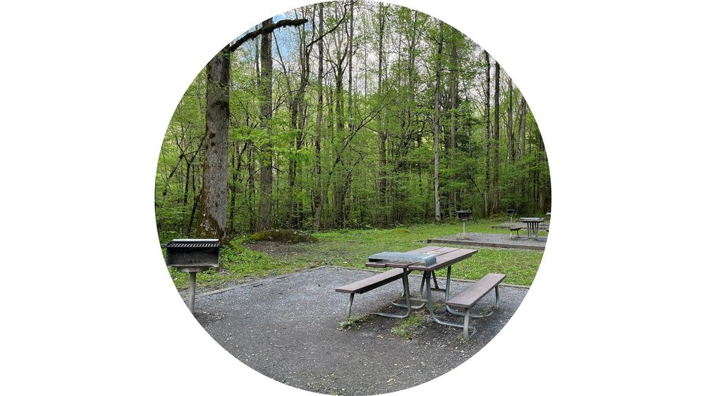 Greenbrier Picnic Area, Great Smoky Mountains National Park