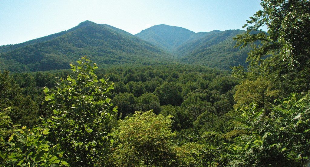 Bull Head, Great Smoky Mountains National Park