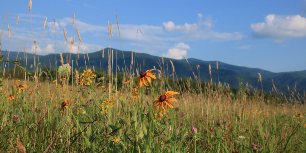 Cades Cove, Great Smoky Mountains National Park