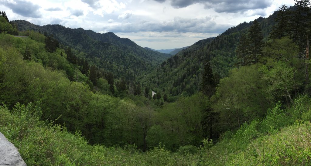 Morton Overlook, Great Smoky Mountains National Park