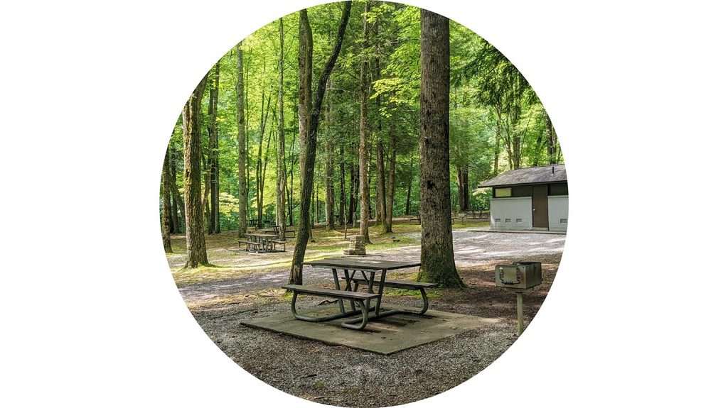 Collins Creek Picnic Area, Great Smoky Mountains National Park