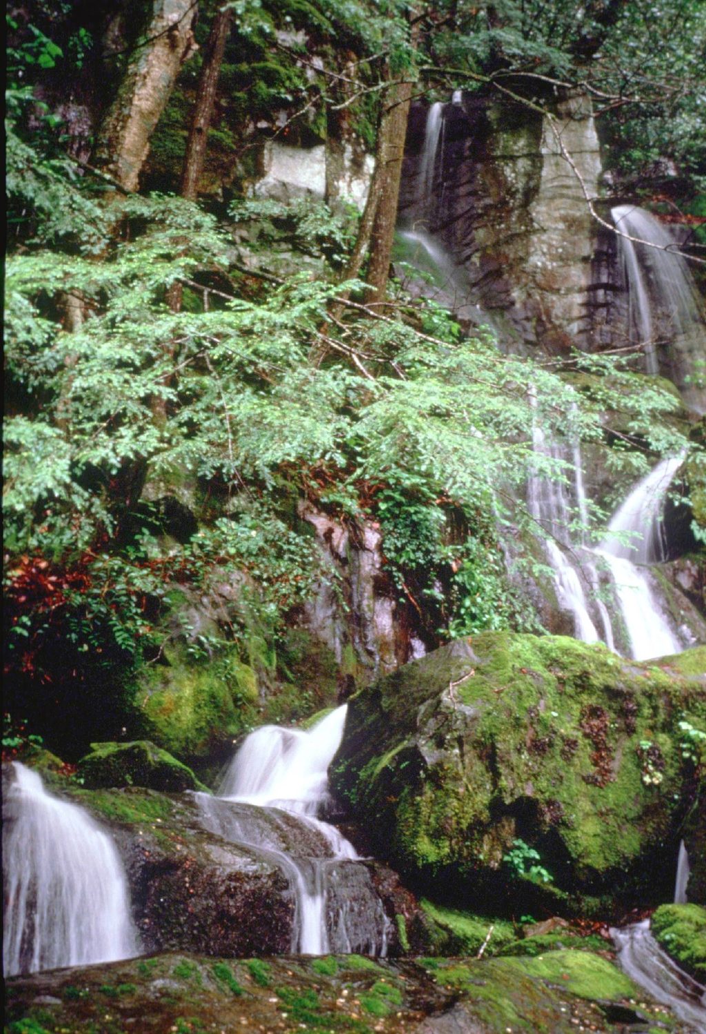 Roaring Fork, Great Smoky Mountains National Park