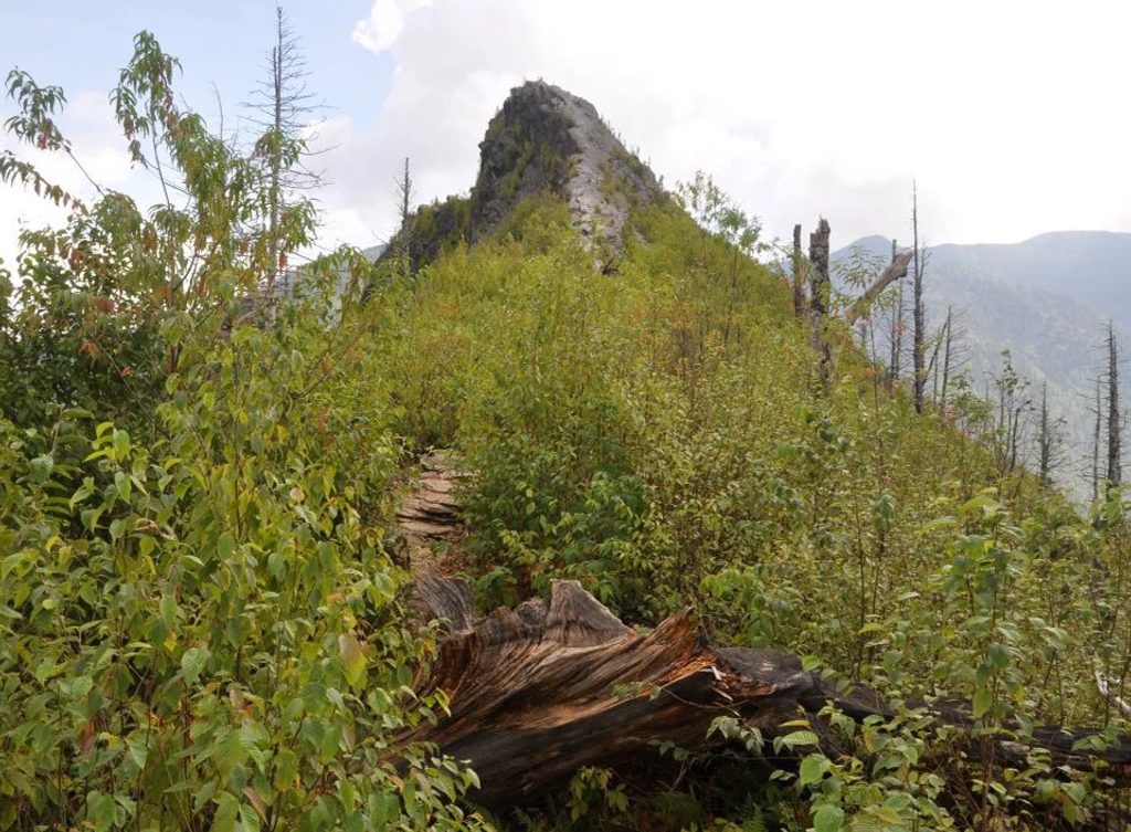 Chimney Tops, Great Smoky Mountains National Park