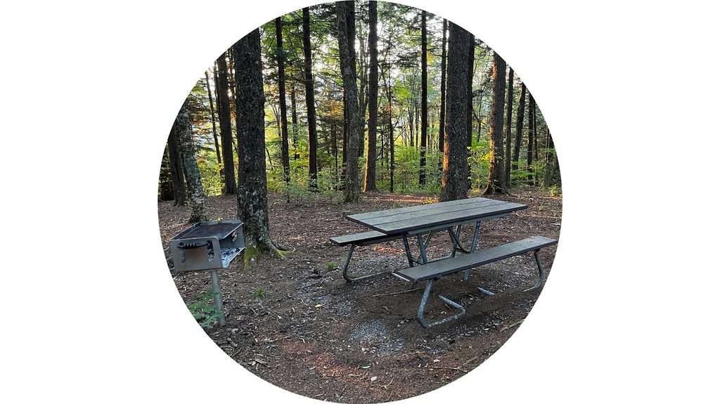 Heintooga Picnic Area, Great Smoky Mountains National Park