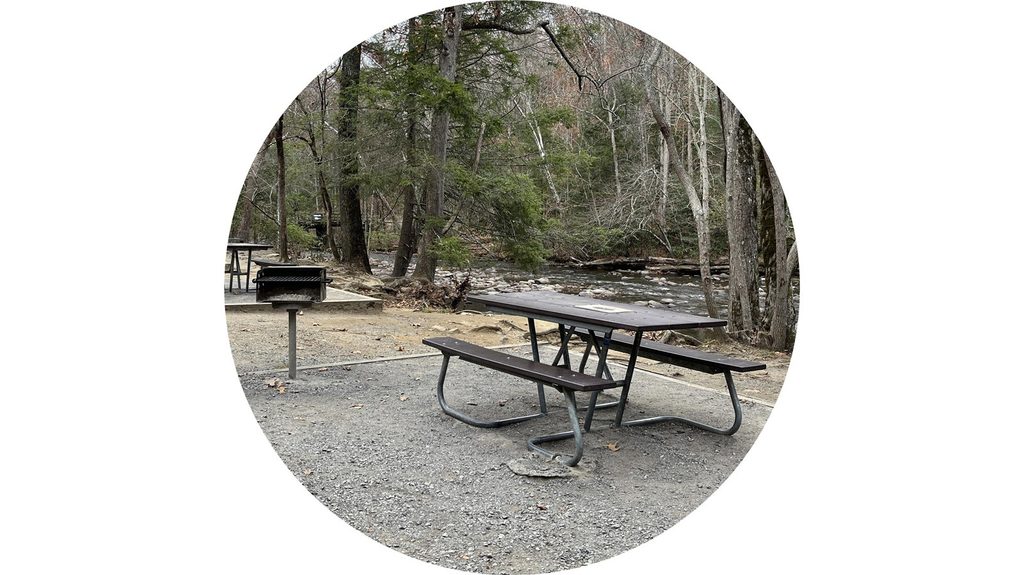Metcalf Bottoms Picnic Area, Great Smoky Mountains National Park