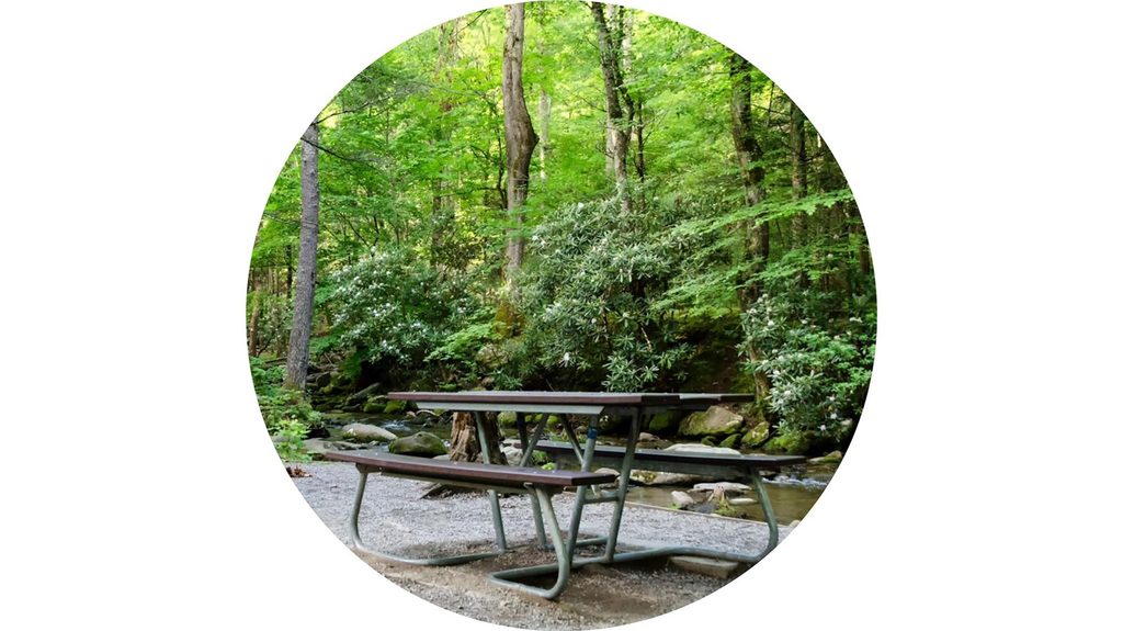 Cades Cove Picnic Area, Great Smoky Mountains National Park