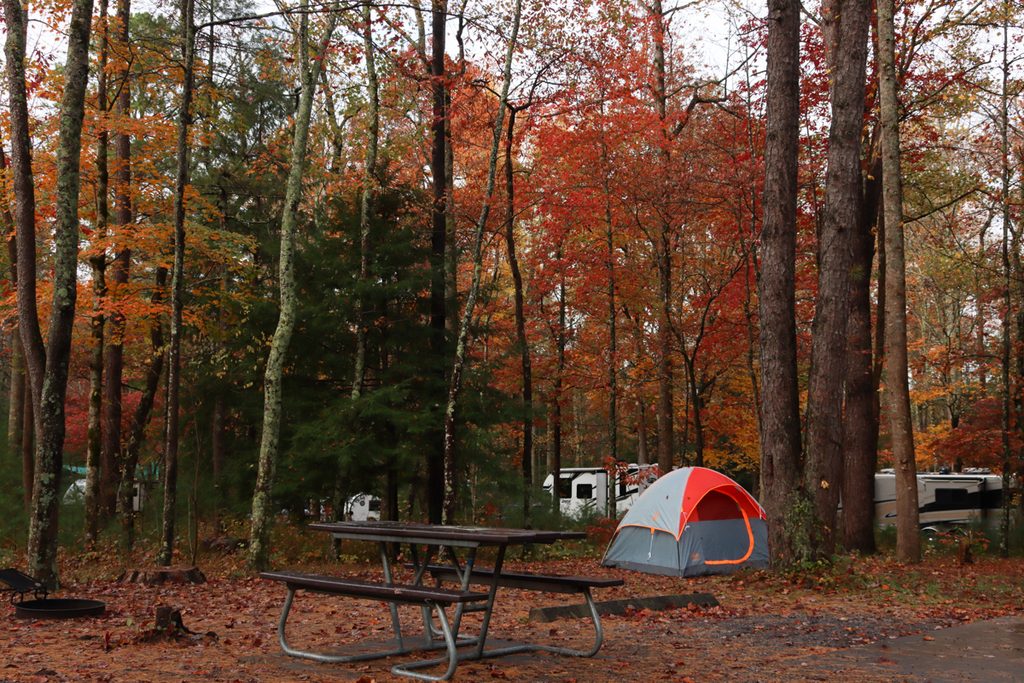 Cades Cove Campground, Great Smoky Mountains National Park