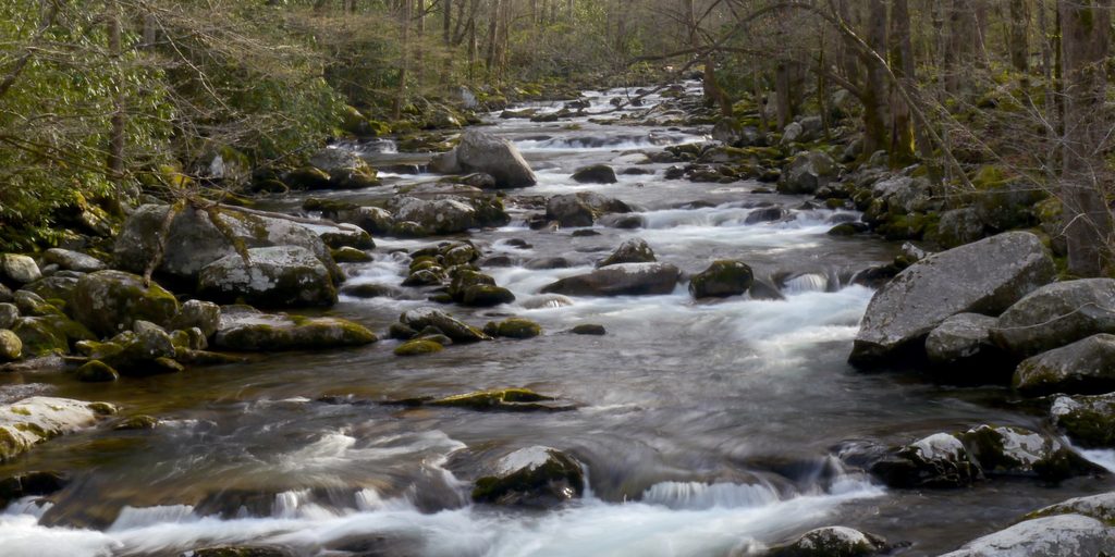 Big Creek Picnic Area, Great Smoky Mountains National Park