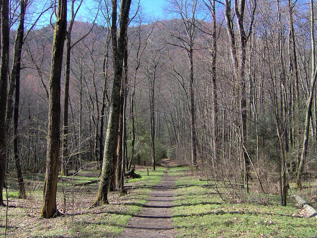 Big Creek Trailhead, Great Smoky Mountains National Park