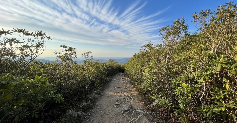 Brushy Mountain, Great Smoky Mountains National Park