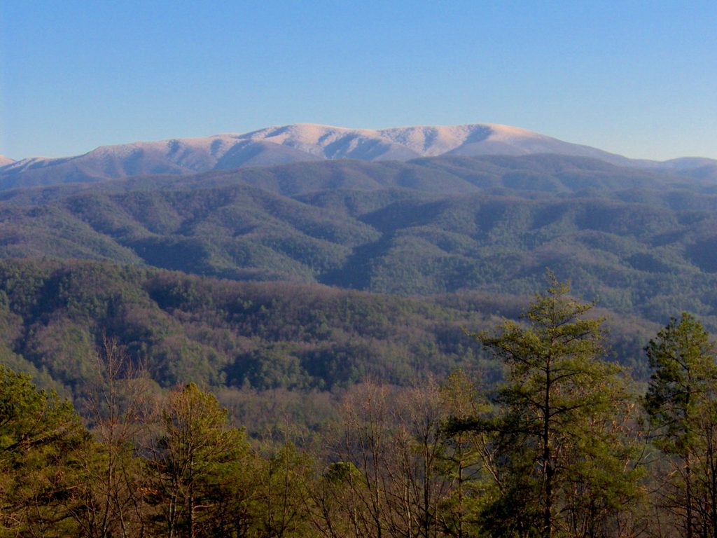 Gregory Bald, Great Smoky Mountains National Park