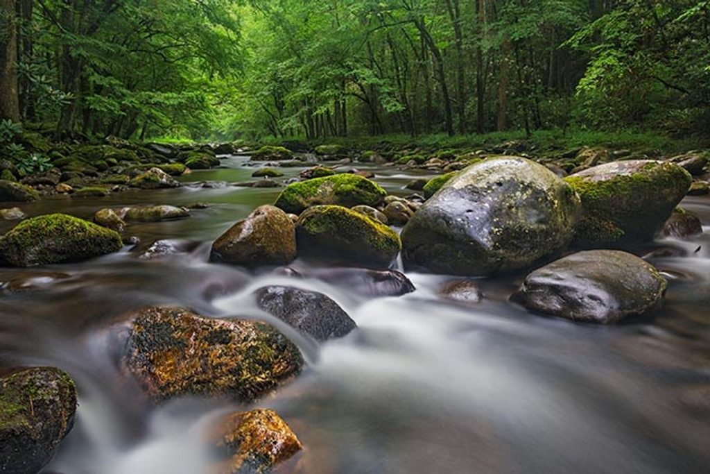 Great Smoky Mountains Institute at Tremont, Great Smoky Mountains National Park