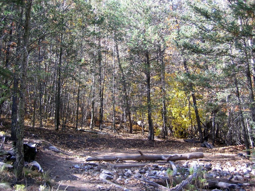 Tejas Wilderness Campground, Guadalupe Mountains National Park