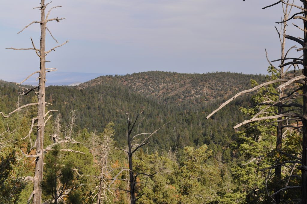 The Bowl, Guadalupe Mountains National Park