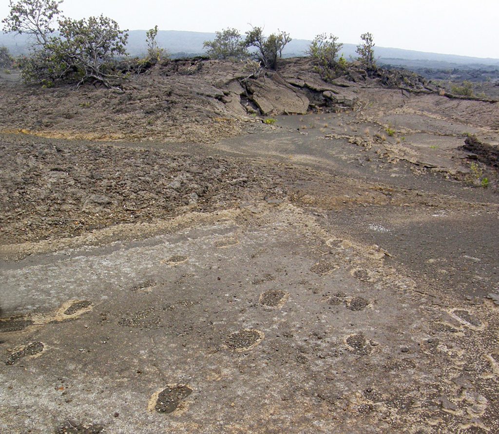 Footprints Area, Hawaiʻi Volcanoes National Park