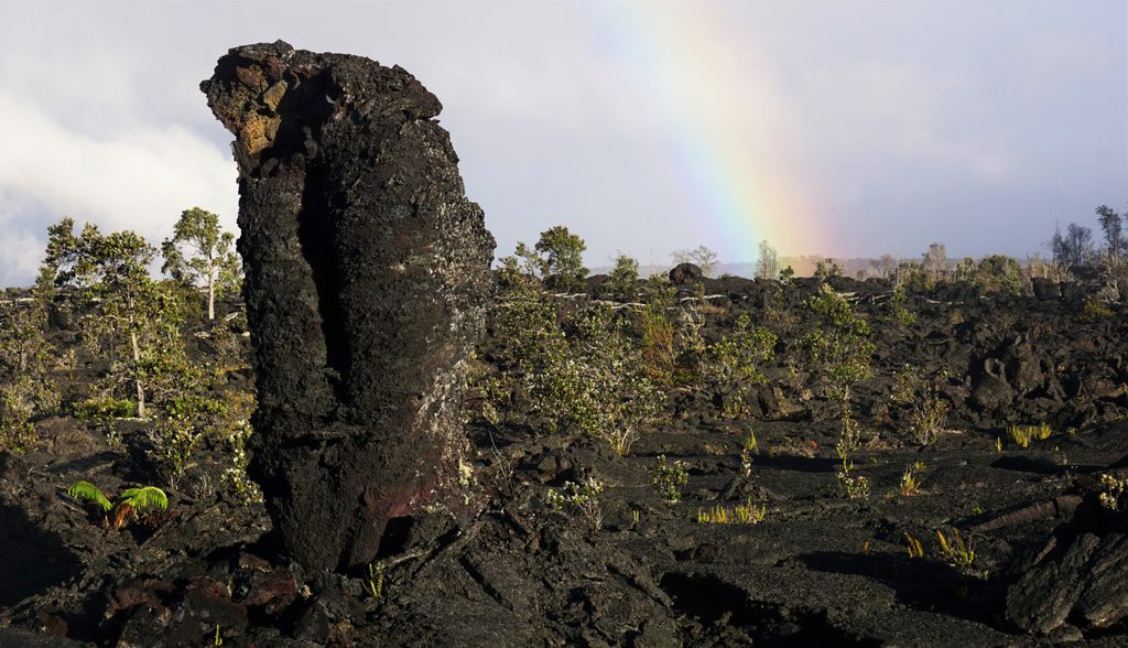 Tree Molds, Hawaiʻi Volcanoes National Park
