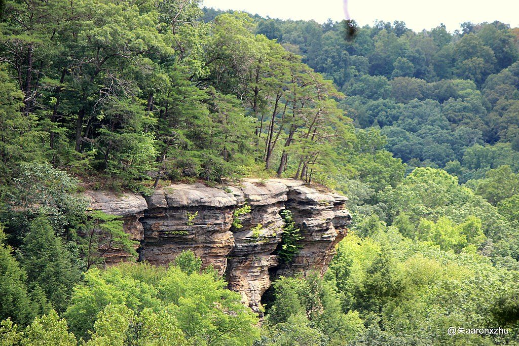 Conkle’s Hollow Rim Overlook, Hocking Hills State Park