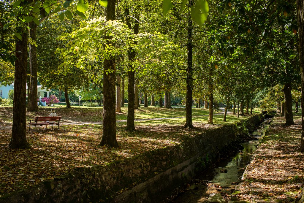 Whittington Park, Hot Springs National Park