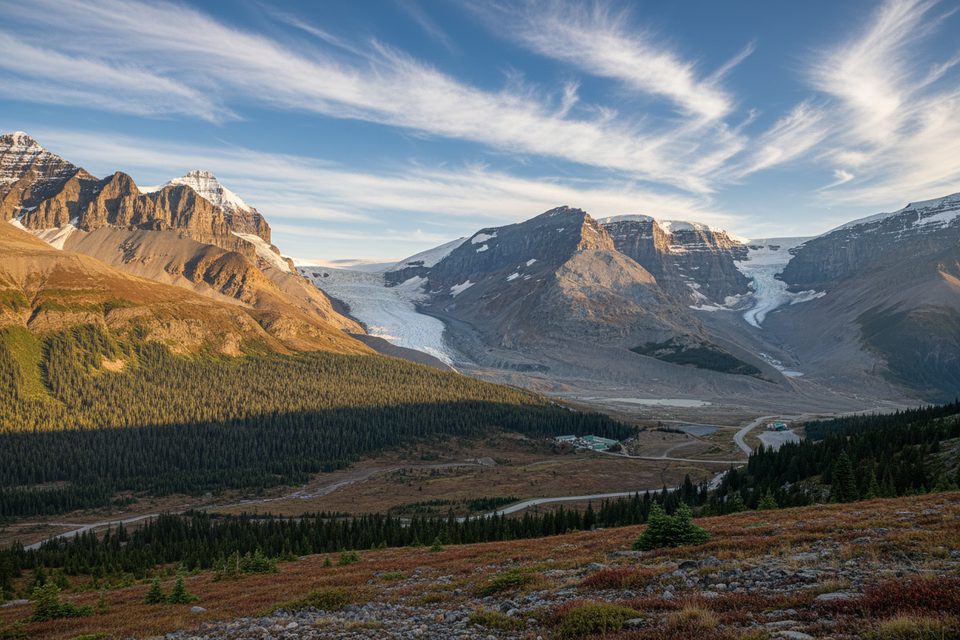 Wilcox Pass Viewpoint, Icefields Parkway (Highway 93)