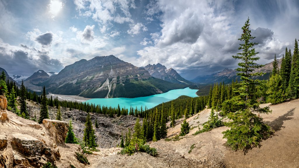 Peyto Lake Viewpoint, Icefields Parkway (Highway 93)