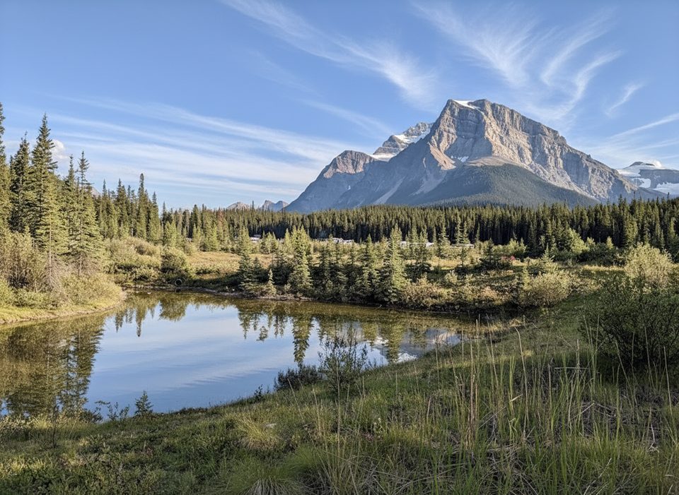 Silverhorn Creek Campground, Icefields Parkway (Highway 93)