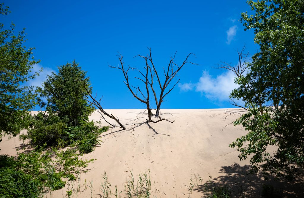Mount Baldy, Indiana Dunes National Park