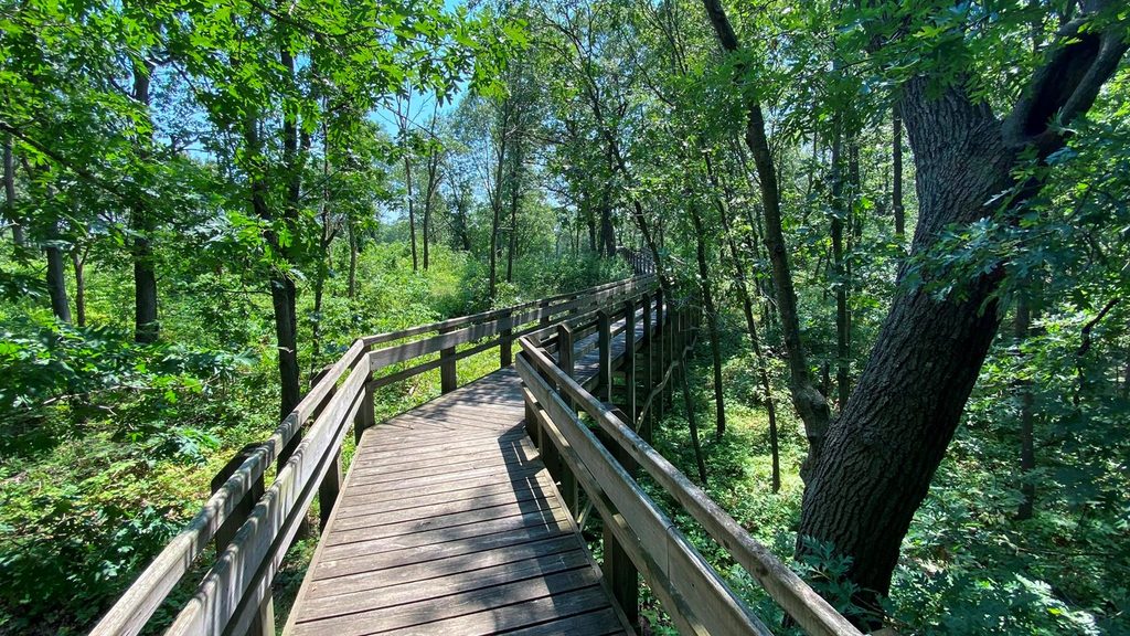 Tolleston Dunes Overlook, Indiana Dunes National Park
